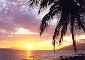 kamaole4
